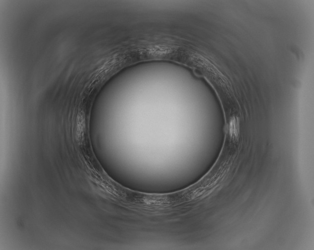 X0000112401299200908211106
