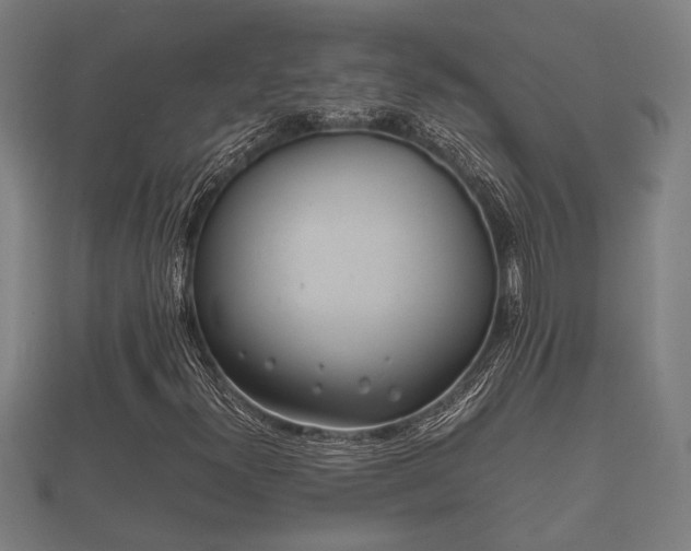 X0000112401300200908211106