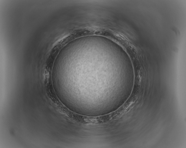 X0000112401302200908211106