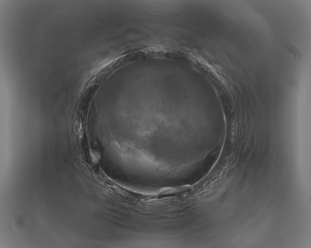 X0000112401303200908211106