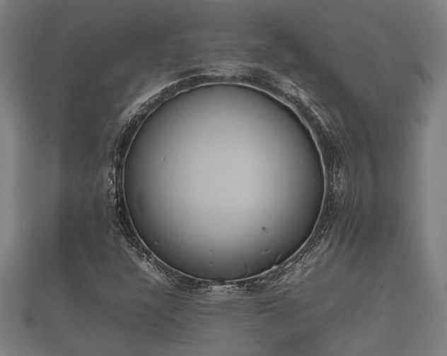 X0000112401304200908211106