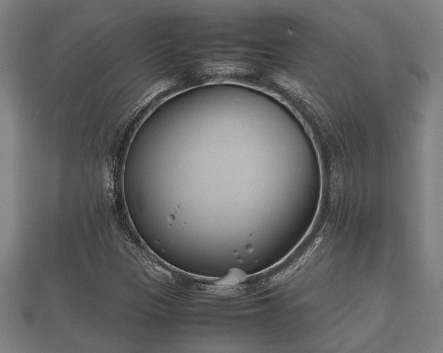 X0000112401305200908211106