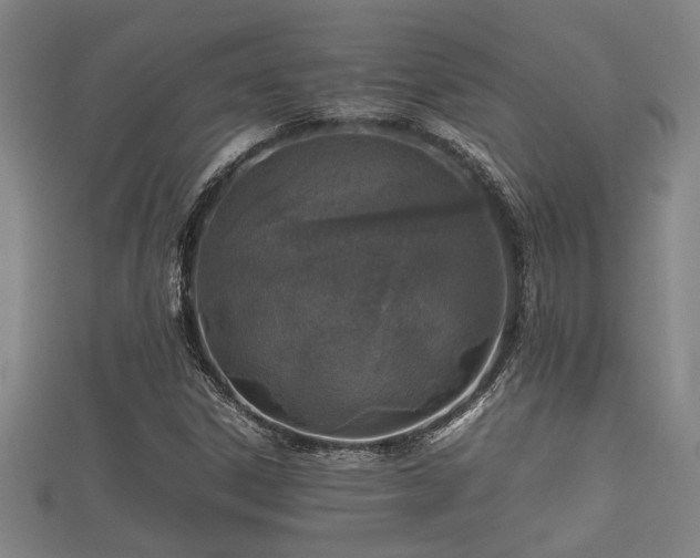 X0000112401306200908211106