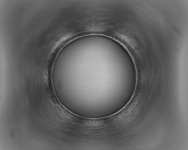 X0000112401307200908211106