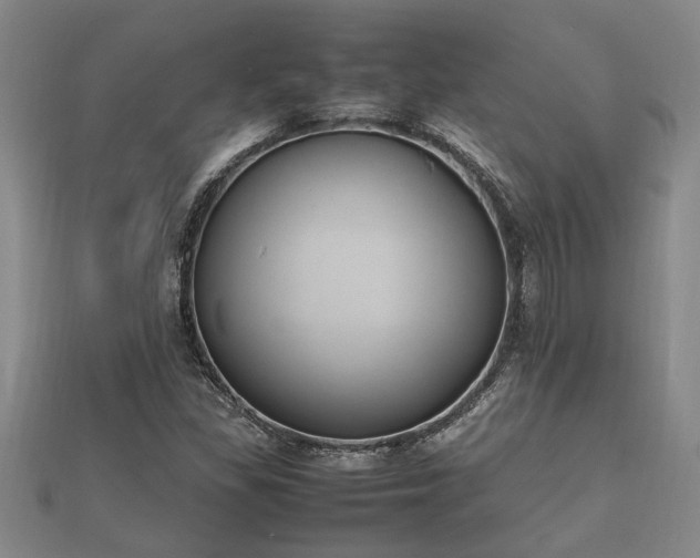 X0000112401309200908211106
