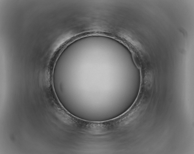 X0000112401310200908211106