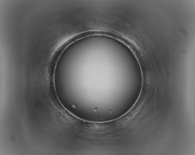 X0000112401311200908211106