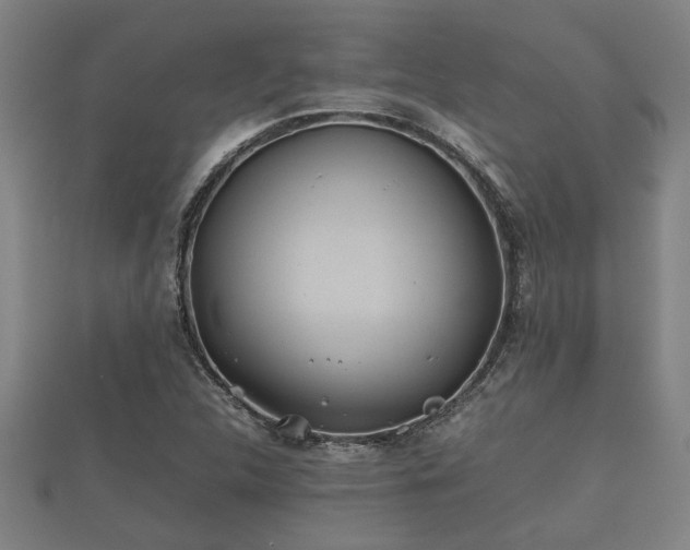 X0000112401312200908211106