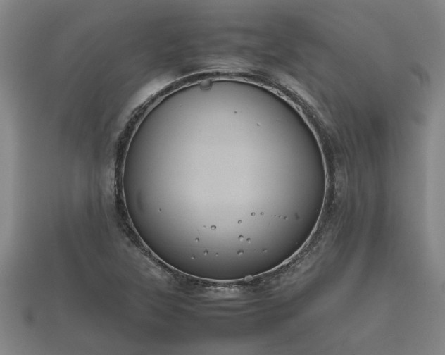 X0000112401315200908211106
