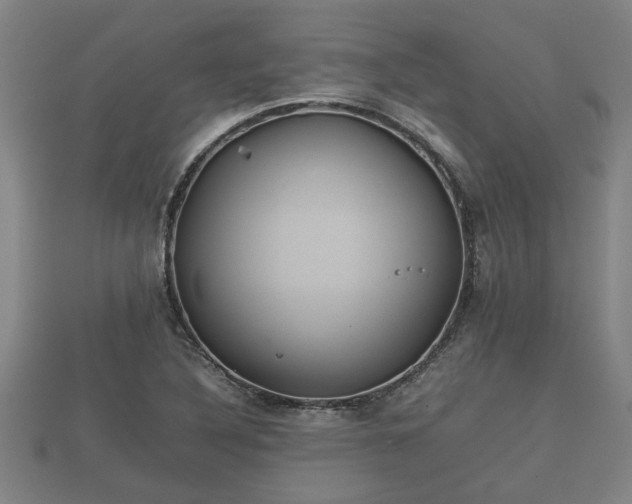 X0000112401316200908211106