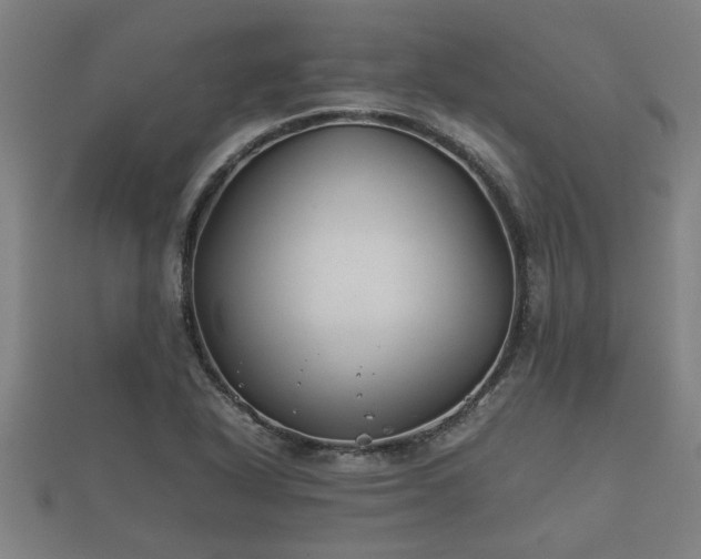 X0000112401318200908211106