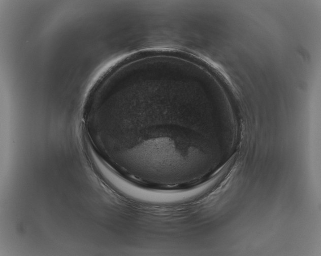 X0000112401319200908211106