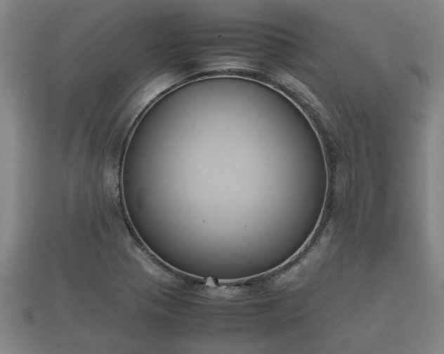 X0000112401321200908211106