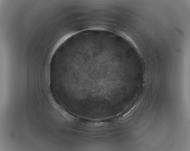 X0000112401323200908211107