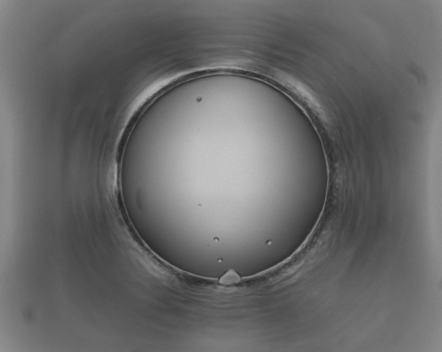 X0000112401324200908211107