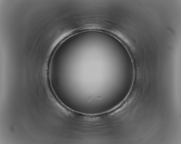 X0000112401325200908211107
