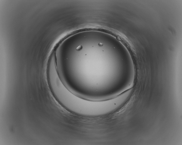 X0000112401326200908211107