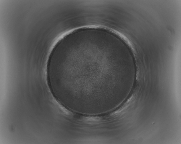 X0000112401327200908211107