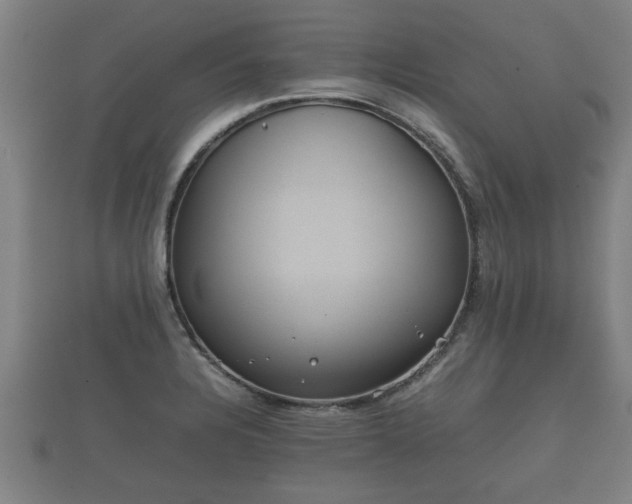 X0000112401328200908211107