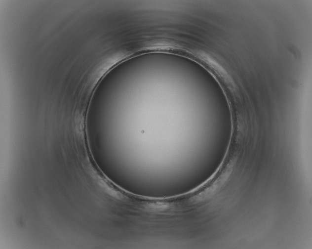 X0000112401329200908211107