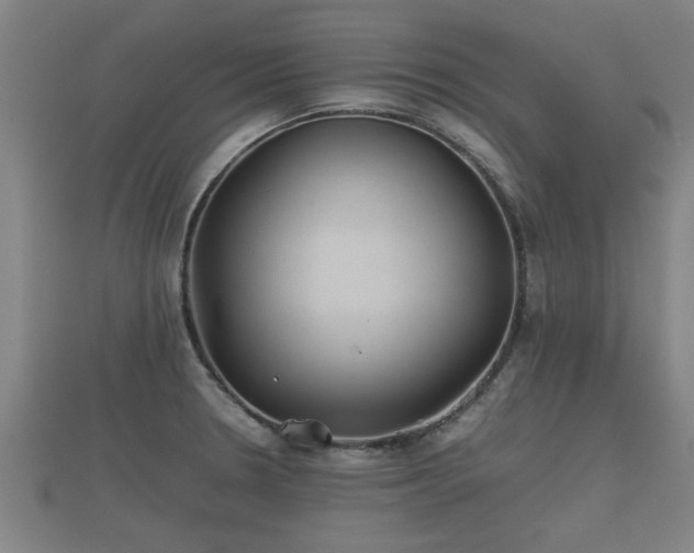 X0000112401330200908211107