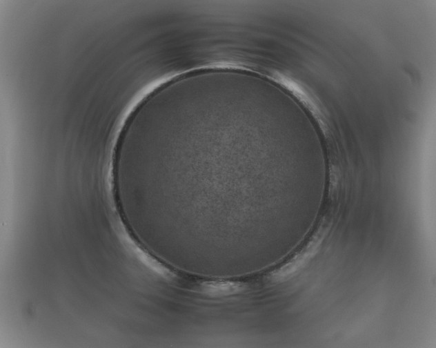 X0000112401331200908211107