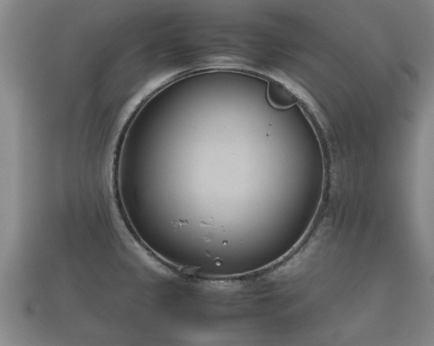 X0000112401333200908211107