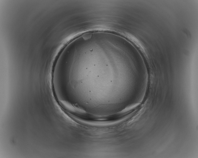 X0000112401334200908211107
