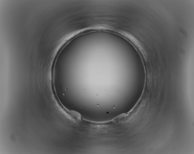 X0000112401335200908211107