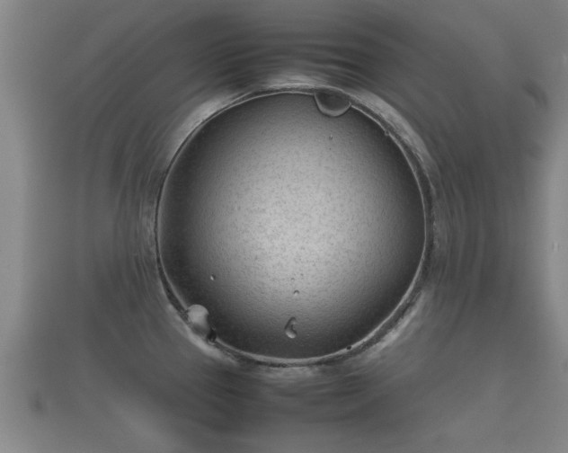 X0000112401337200908211107