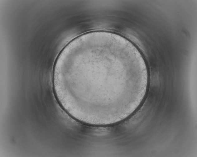 X0000112401338200908211107