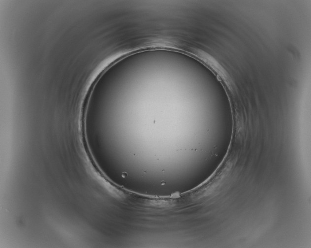 X0000112401339200908211107
