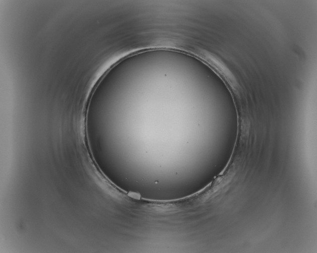 X0000112401340200908211107