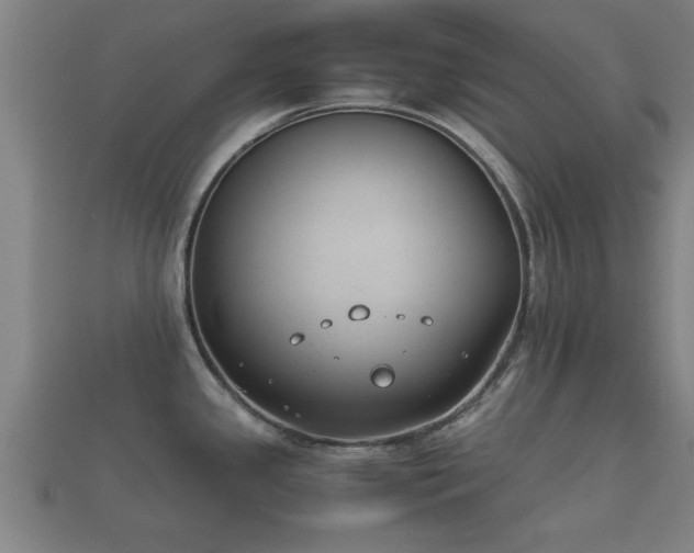 X0000112401341200908211107