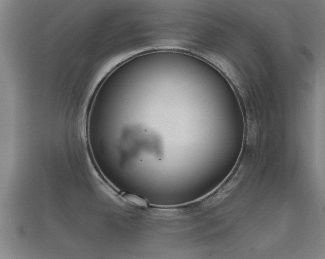 X0000112401342200908211107