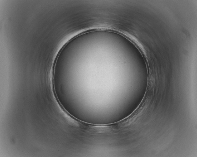 X0000112401343200908211107