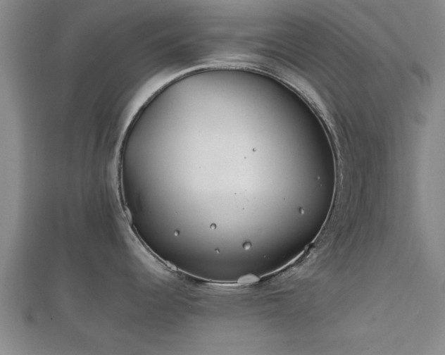 X0000112401344200908211107