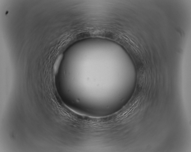 X0000112401345200908211106