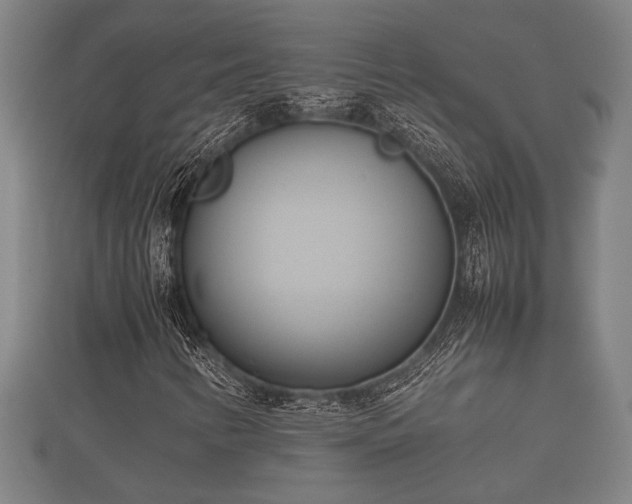 X0000112401346200908211106
