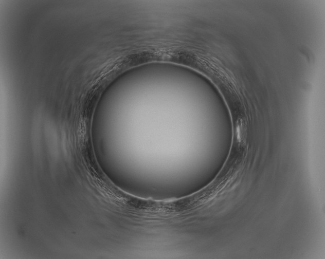 X0000112401347200908211106