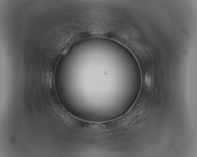 X0000112401348200908211106