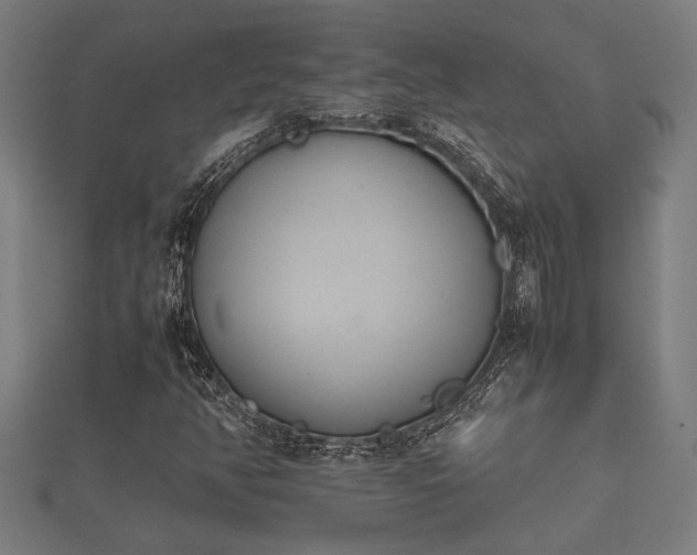 X0000112401350200908211106