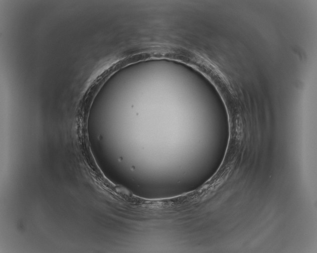 X0000112401352200908211106