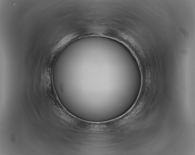 X0000112401354200908211106