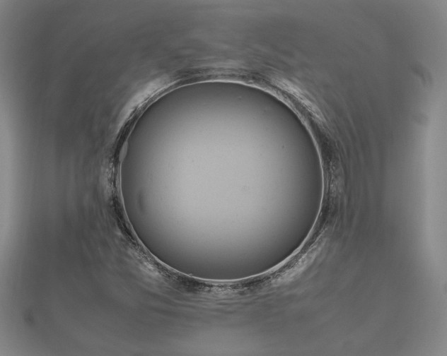 X0000112401357200908211106