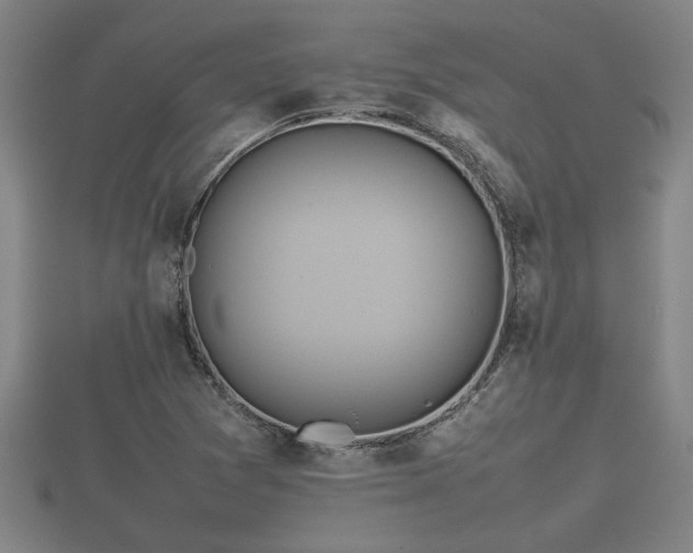 X0000112401361200908211106
