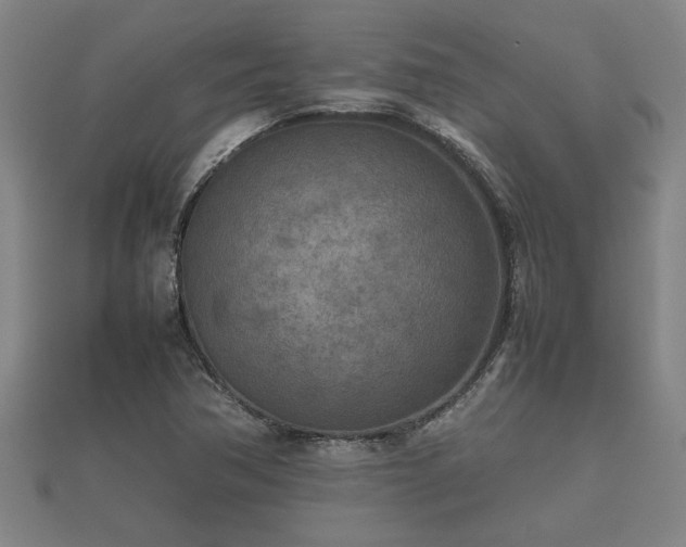 X0000112401362200908211106