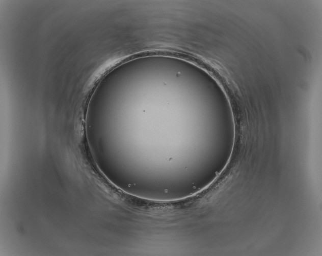 X0000112401363200908211106
