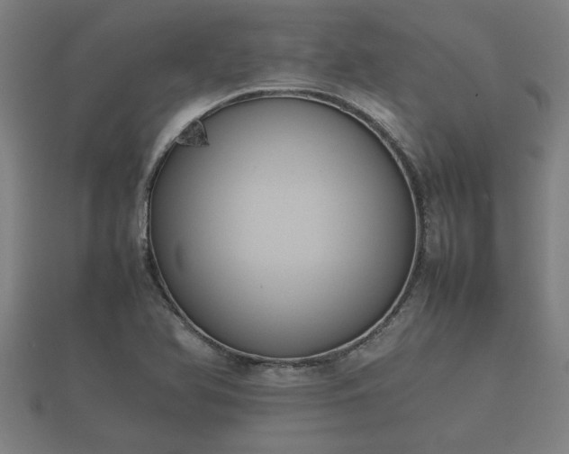 X0000112401366200908211106