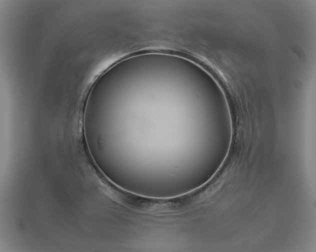 X0000112401367200908211106